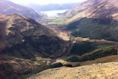 The steep descent to the forest The steep descent to the forest