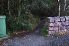 Small path into forest stay this side of the bridge Small path into forest stay this side of the bridge