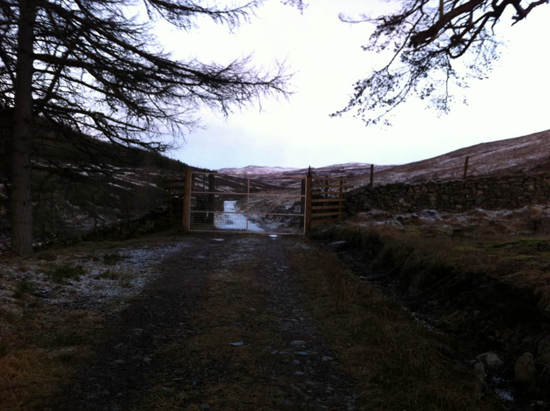 the gate at the end of the forest