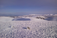 View back down the ridge View back down the ridge