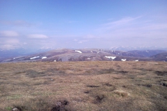 file_003 file_003