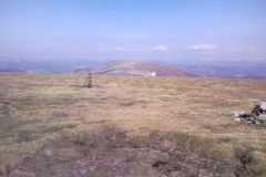 file_009 file_009