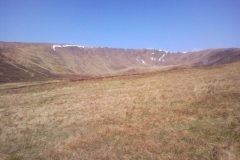file_010 file_010