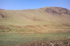 file_018 file_018