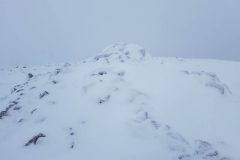 20181209_140030 20181209_140030
