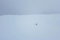 20181209_140036 20181209_140036