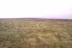 the mist ahead the mist ahead