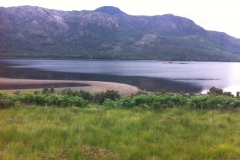 IMG_0872 IMG_0872