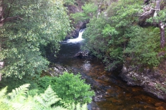 IMG_0874 IMG_0874