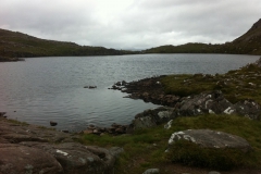IMG_0879 IMG_0879