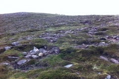 IMG_0880 IMG_0880