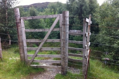 IMG_0890 IMG_0890