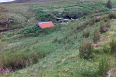 IMG_0893 IMG_0893