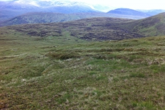 IMG_0895 IMG_0895