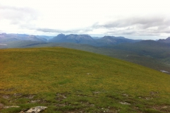 IMG_0899 IMG_0899