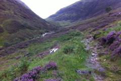 Path heading up the Cam Bhealach Path heading up the Cam Bhealach