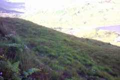 Still a fair way to go to get to the track and the sun is still roasting me Still a fair way to go to get to the track and the sun is still roasting me