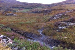 The track off the main path