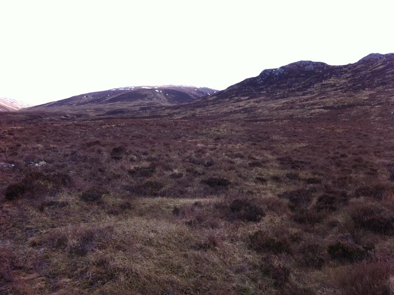 Direct ascent up hillside to Sgurr na Ruaidhe