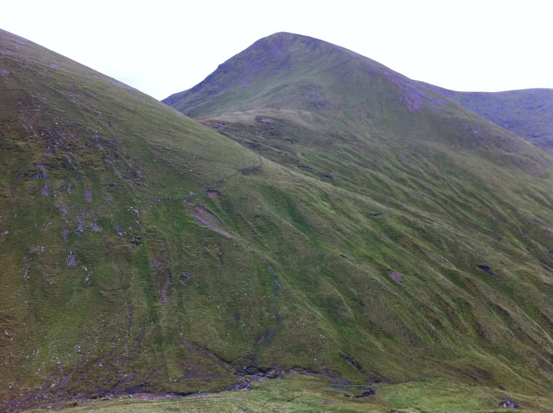 The acsent to Meal na Teanga